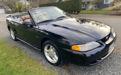 Ford   1995