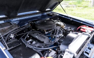Ford-Bronco-1976-Convertible-16