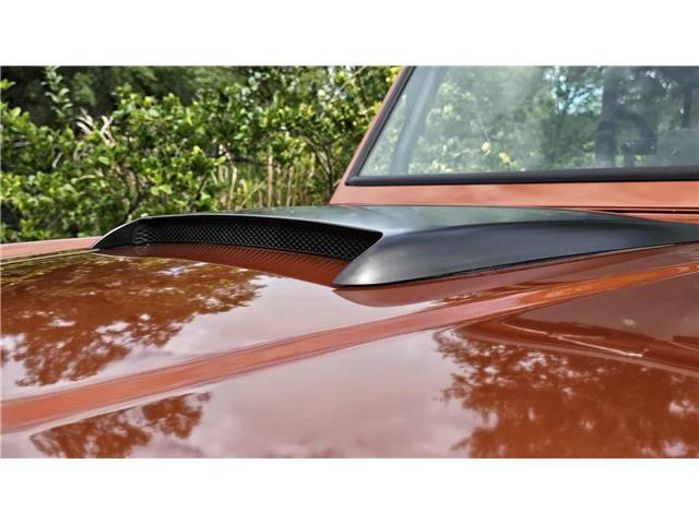 Ford-Bronco-1977-8