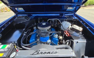 Ford-Bronco-1977-SUV-9