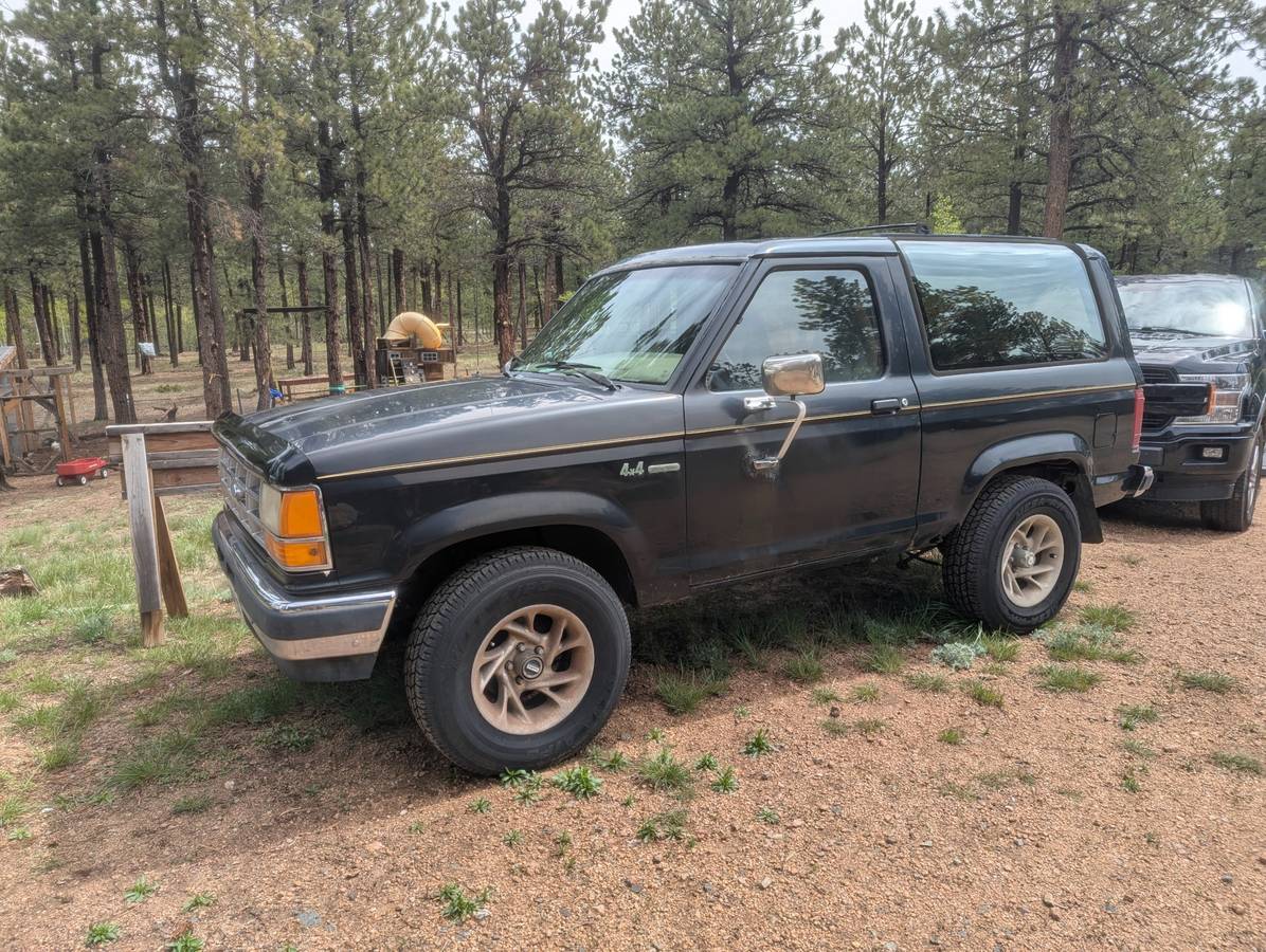 Ford-Bronco-eddie-bauer-1989-black-2