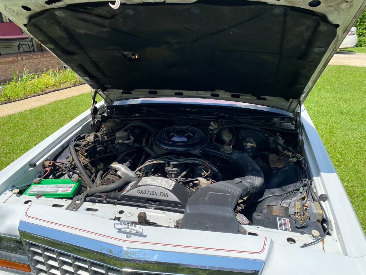 Ford-Crown-victoria-ltd-1985-white-13