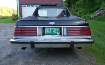 Ford-Durango-1979-black-4