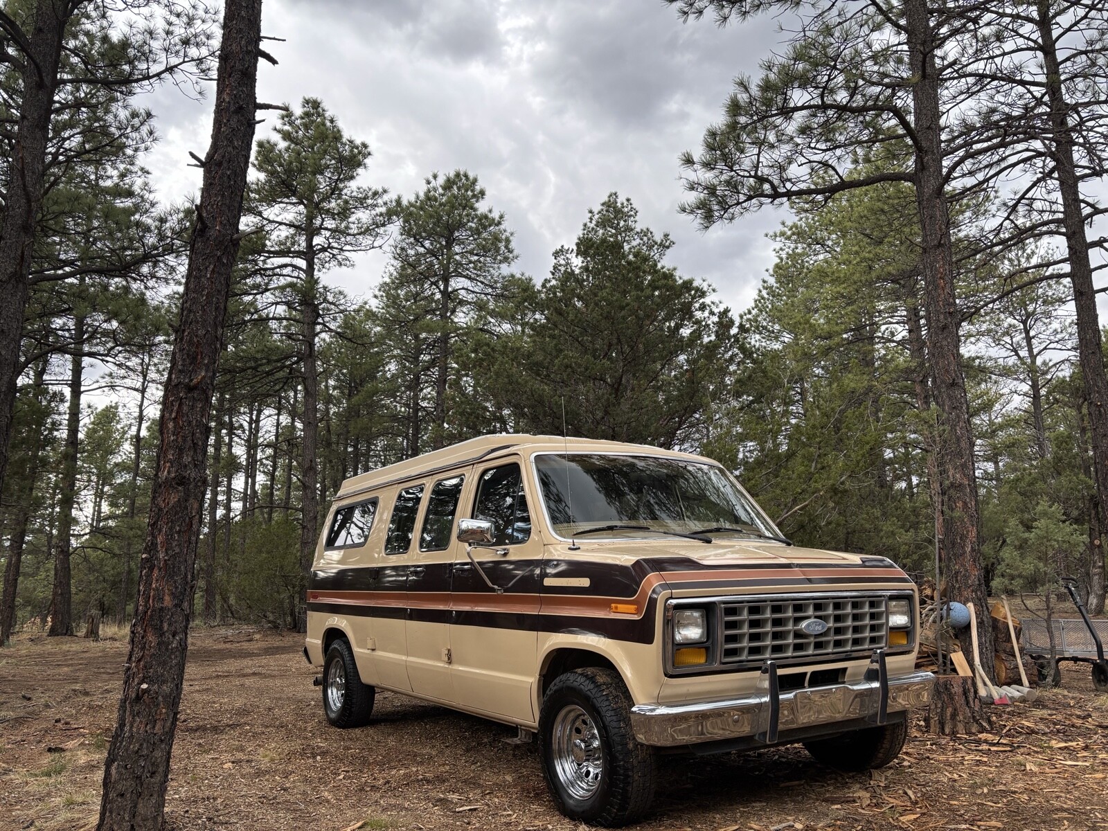 Ford E-Series Van 1984
