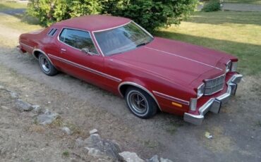 Ford-Elite-1975-Coupe-2