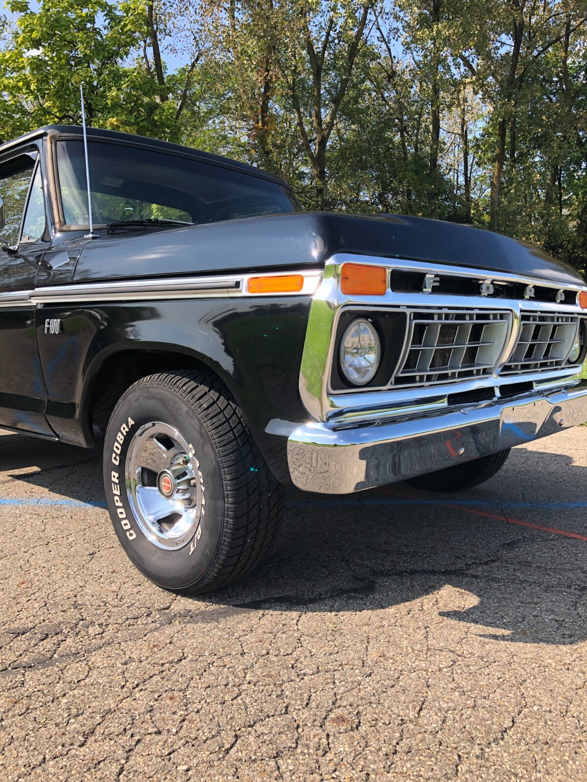 Ford F-100 1976 Standard Cab Pickup