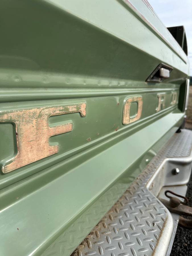 Ford-F-100-farm-amp-ranch-special-1969-green-10