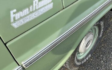 Ford-F-100-farm-amp-ranch-special-1969-green-7