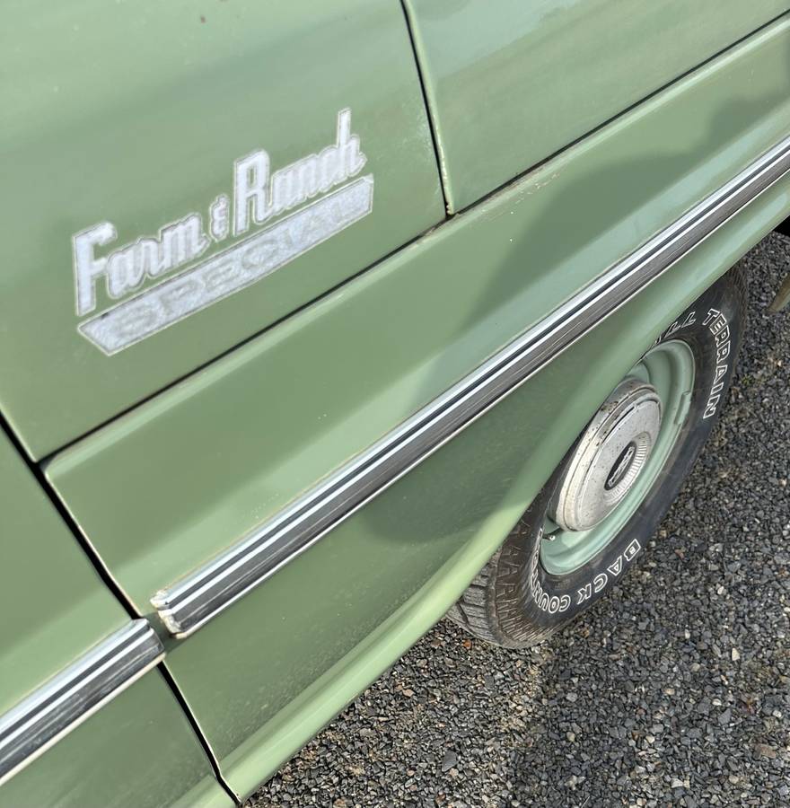 Ford-F-100-farm-amp-ranch-special-1969-green-7