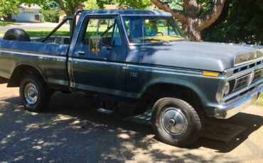 Ford-F-150-1976-custom-1