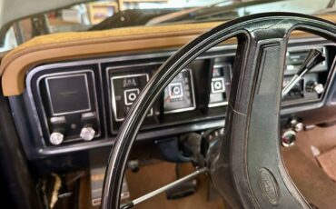 Ford-F-150-1976-custom-16