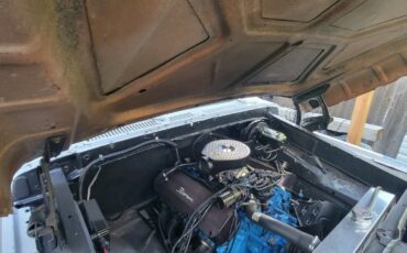 Ford-F-150-1978-4