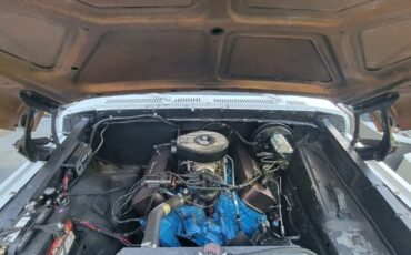 Ford-F-150-1978-5