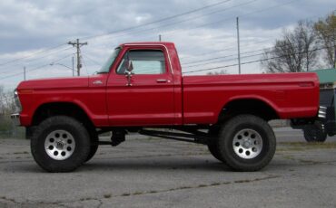 Ford-F-150-1979-Other-11