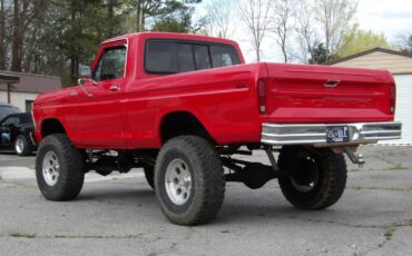 Ford-F-150-1979-Other-13