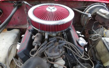 Ford-F-150-1979-Other-3