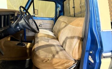 Ford-F-150-1979-Pickup-Truck-20