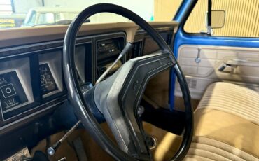 Ford-F-150-1979-Pickup-Truck-30
