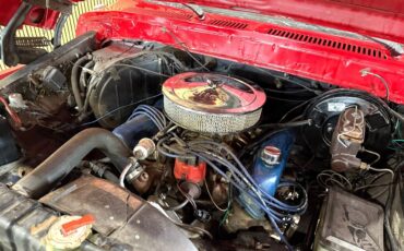 Ford-F-150-1979-Pickup-Truck-31