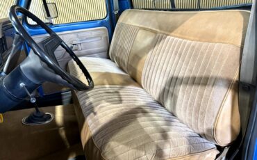 Ford-F-150-1979-Pickup-Truck-31