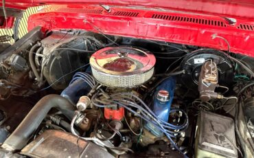 Ford-F-150-1979-Pickup-Truck-32