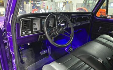Ford-F-150-1979-Standard-Cab-Pickup-12