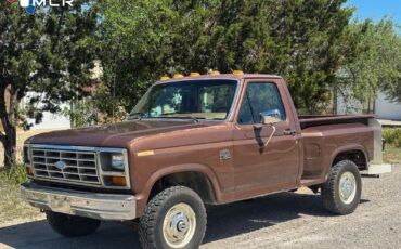 Ford-F-150-1983-Standard-Cab-Pickup-24