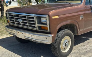 Ford-F-150-1983-Standard-Cab-Pickup-6