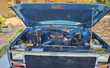 Ford-F-150-1984-Pickup-Truck-32