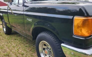 Ford-F-150-1991-black-17