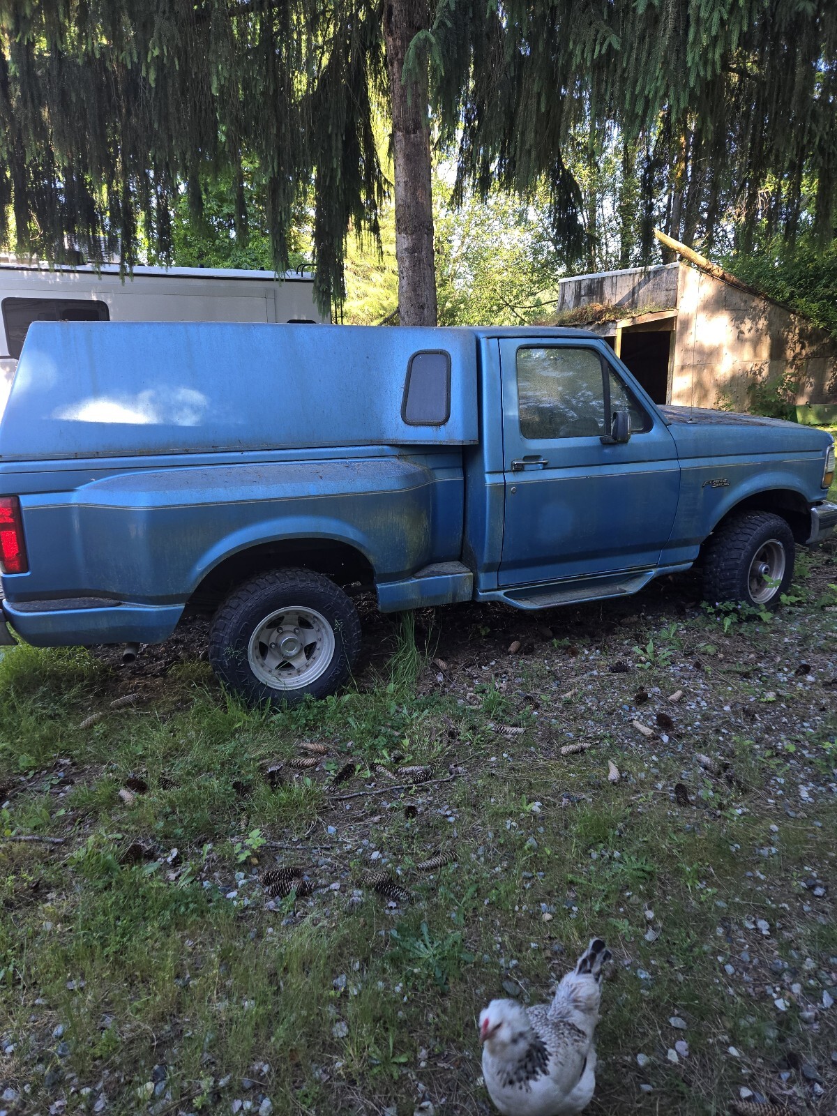 Ford-F-150-1992-1