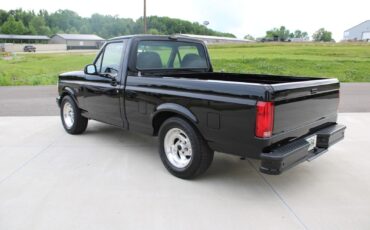 Ford-F-150-1993-3