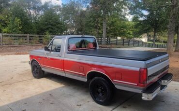 Ford-F-150-1993-silver-2