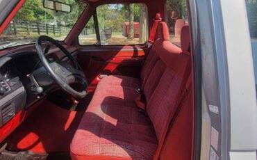 Ford-F-150-1993-silver-6