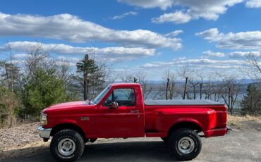 Ford-F-150-1994-Standard-Cab-Pickup-11