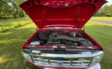 Ford-F-150-1994-Standard-Cab-Pickup-17