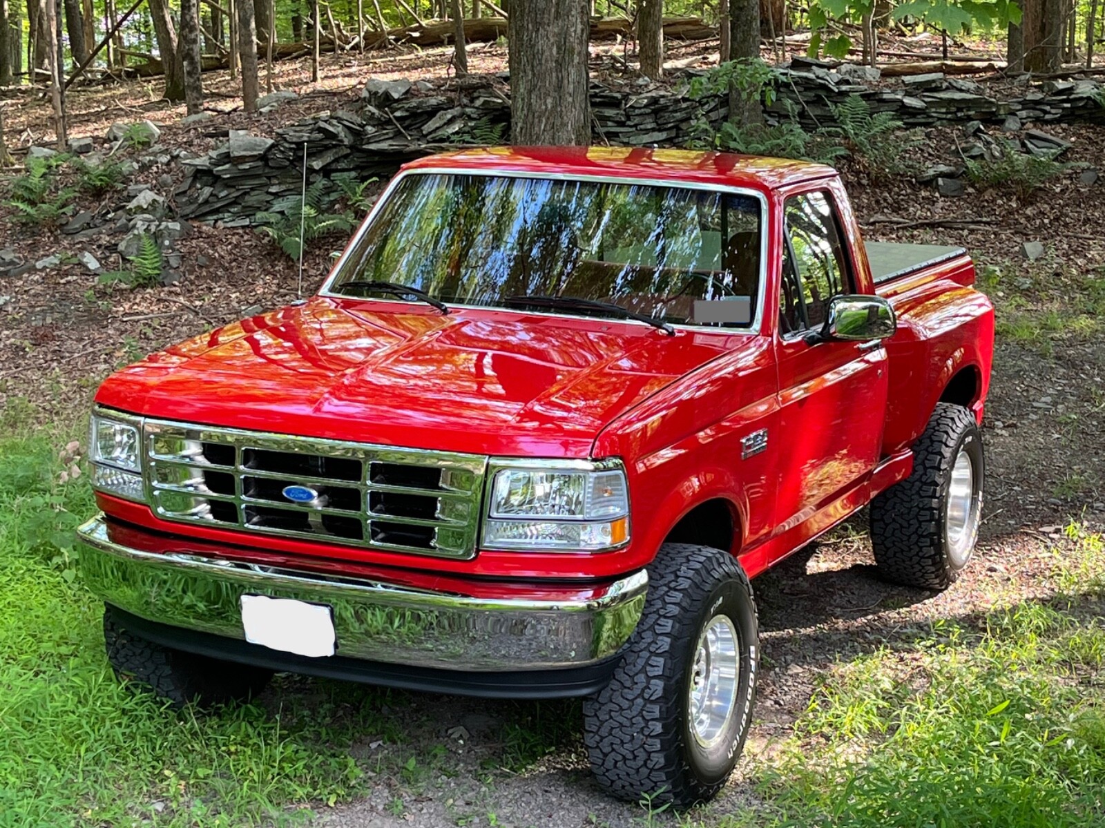 Ford F-150 1994 Standard Cab Pickup