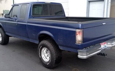 Ford-F-150-1994-blue-21