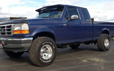 Ford F-150  1994 blue