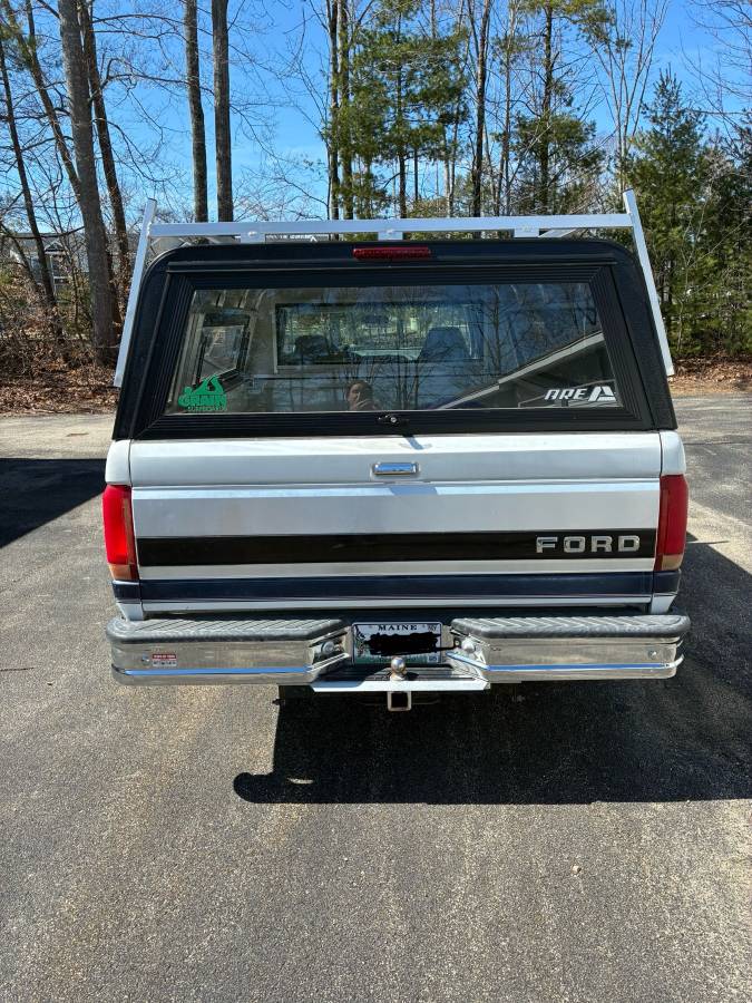 Ford-F-150-1994-white-9