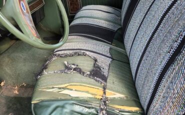Ford-F-250-1971-green-3