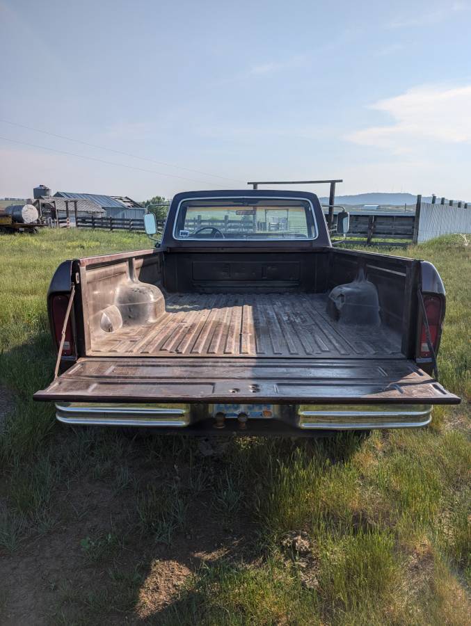 Ford-F-250-1976-3