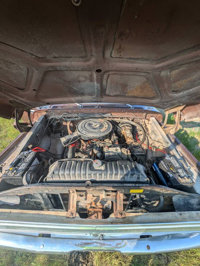 Ford-F-250-1976-4