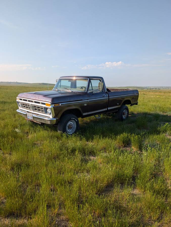 Ford-F-250-1976-8