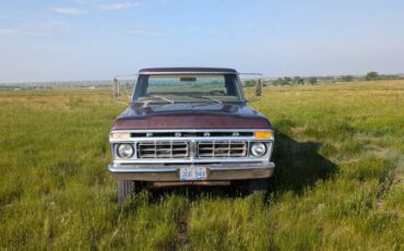 Ford-F-250-1976-9
