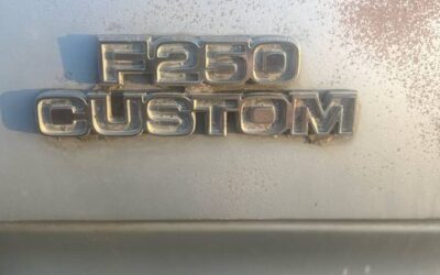 Ford F-250  1978 blue