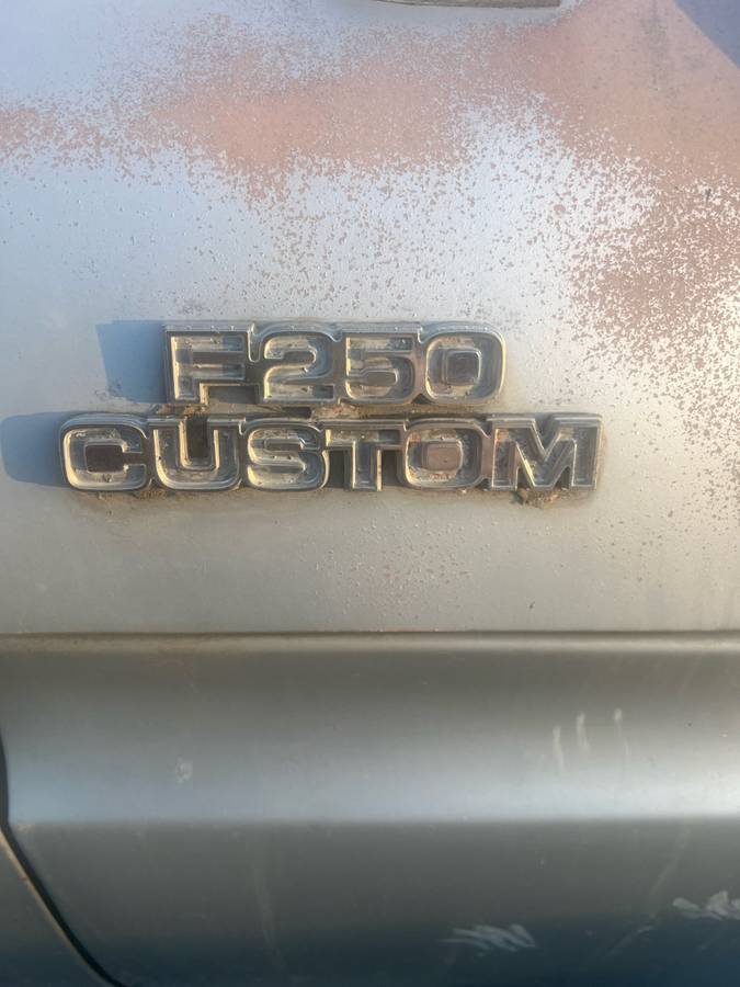 Ford F-250  1978 blue