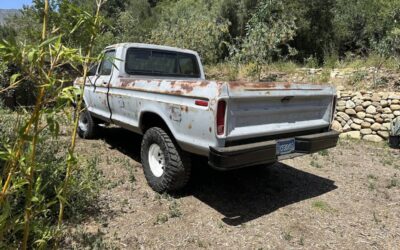 Ford F-250  1979 grey