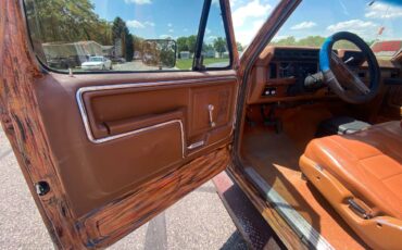 Ford-F-250-1982-custom-4