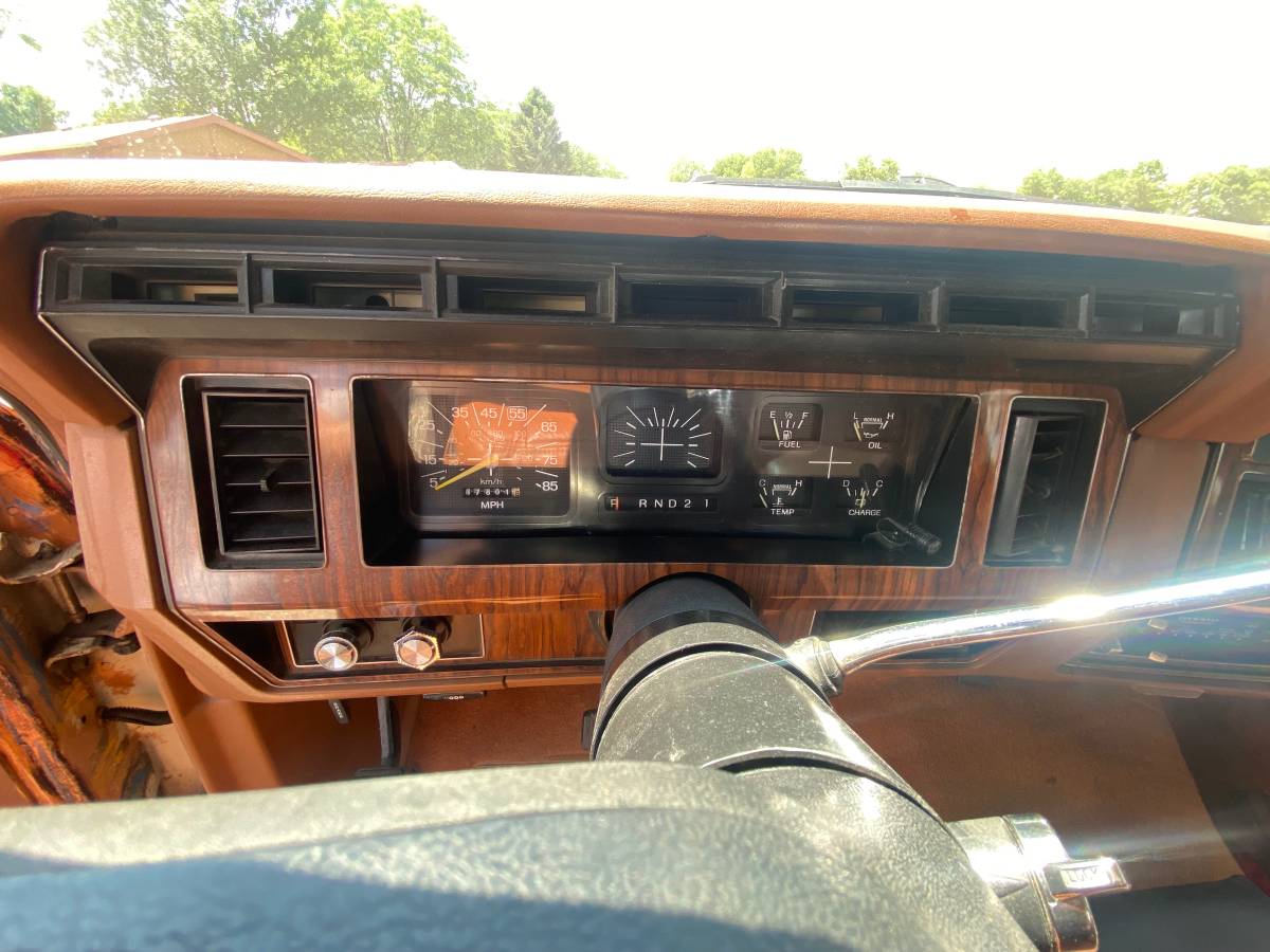 Ford-F-250-1982-custom-5